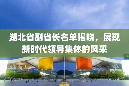 湖北省副省长名单揭晓，展现新时代领导集体的风采