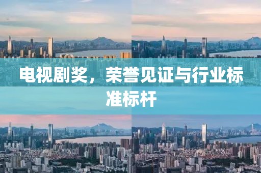 电视剧奖，荣誉见证与行业标准标杆