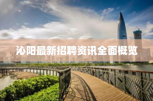 沁阳最新招聘资讯全面概览