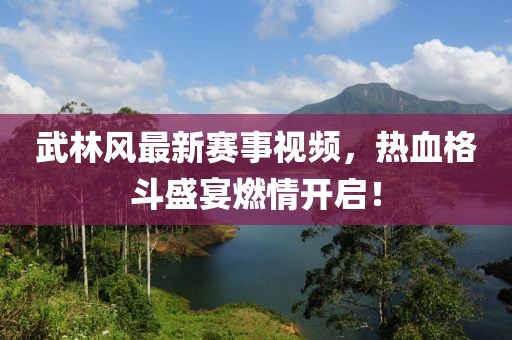 武林风最新赛事视频，热血格斗盛宴燃情开启！