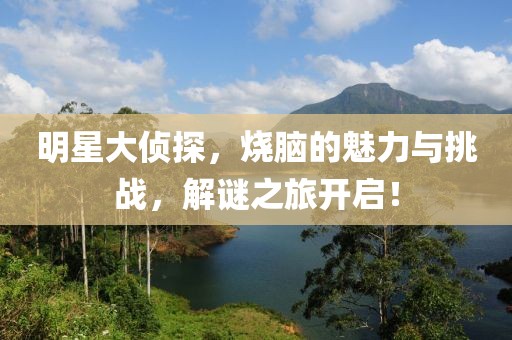 明星大侦探，烧脑的魅力与挑战，解谜之旅开启！