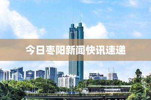 今日枣阳新闻快讯速递