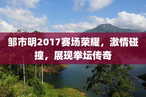 邹市明2017赛场荣耀，激情碰撞，展现拳坛传奇