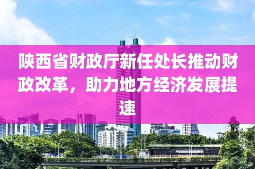 陕西省财政厅新任处长推动财政改革，助力地方经济发展提速