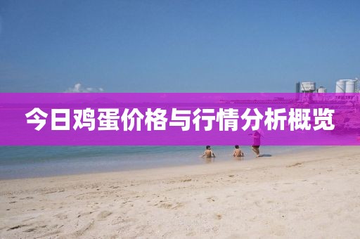 今日鸡蛋价格与行情分析概览