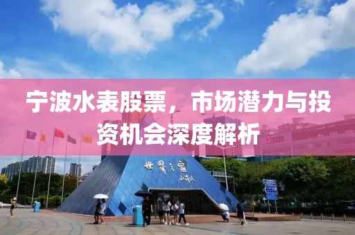 宁波水表股票，市场潜力与投资机会深度解析