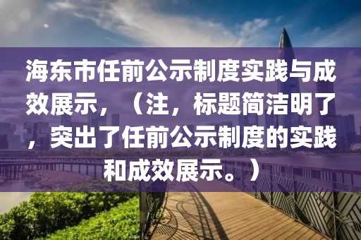 海东市任前公示制度实践与成效展示，（注，标题简洁明了，突出了任前公示制度的实践和成效展示。）