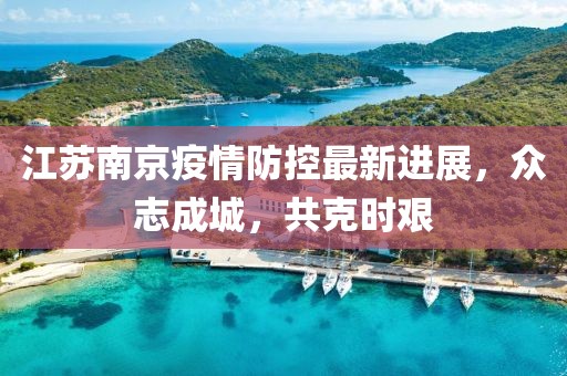 江苏南京疫情防控最新进展，众志成城，共克时艰