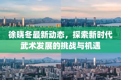 徐晓冬最新动态，探索新时代武术发展的挑战与机遇