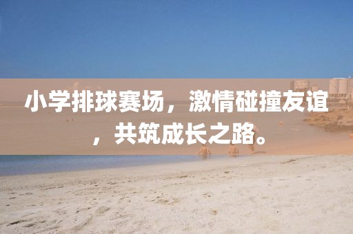 小学排球赛场，激情碰撞友谊，共筑成长之路。