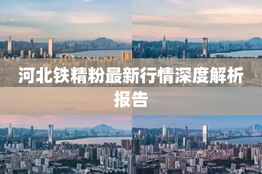 河北铁精粉最新行情深度解析报告