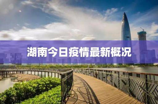 湖南今日疫情最新概况