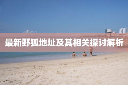 最新野狐地址及其相关探讨解析