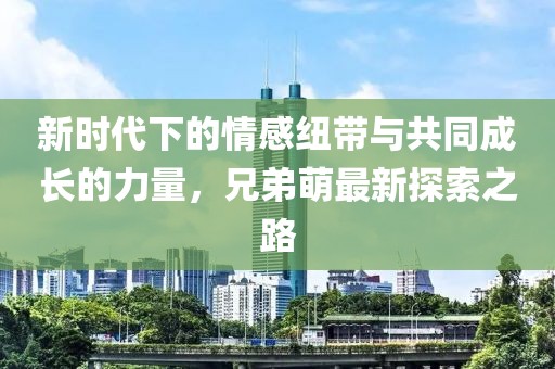 新时代下的情感纽带与共同成长的力量，兄弟萌最新探索之路