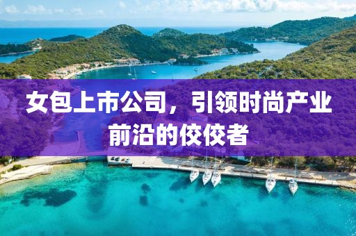 女包上市公司，引领时尚产业前沿的佼佼者