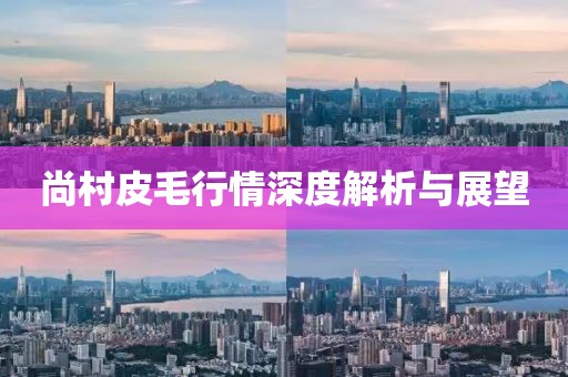 尚村皮毛行情深度解析与展望