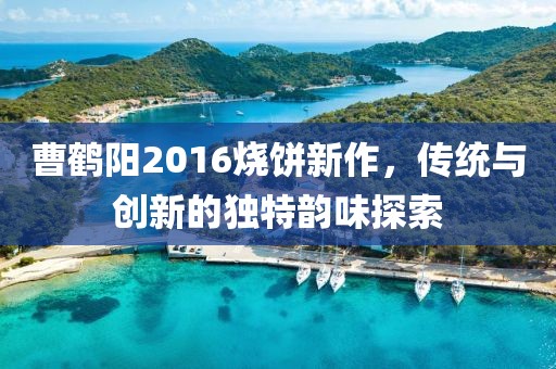 曹鹤阳2016烧饼新作，传统与创新的独特韵味探索