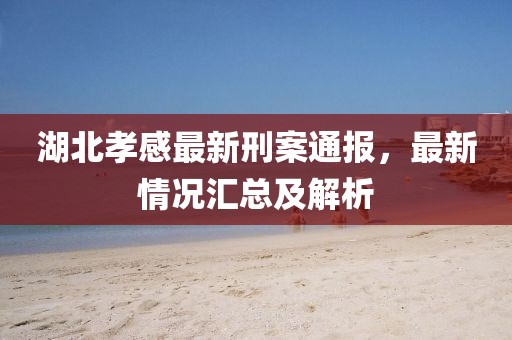 湖北孝感最新刑案通报，最新情况汇总及解析