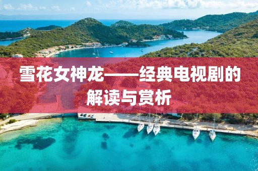 雪花女神龙——经典电视剧的解读与赏析