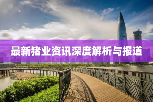 最新猪业资讯深度解析与报道