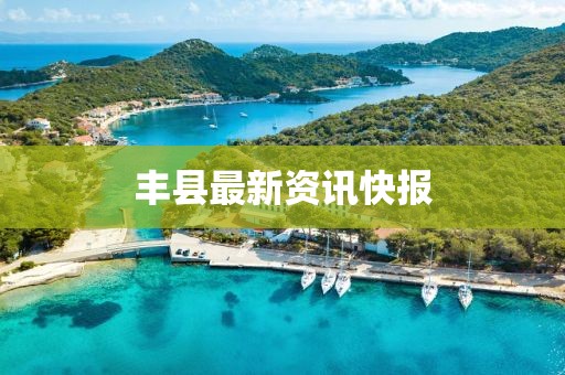 丰县最新资讯快报