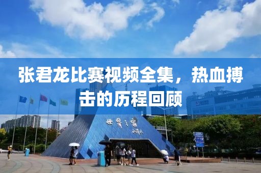 张君龙比赛视频全集，热血搏击的历程回顾