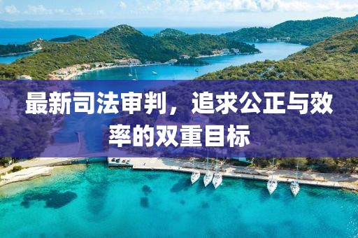 最新司法审判，追求公正与效率的双重目标