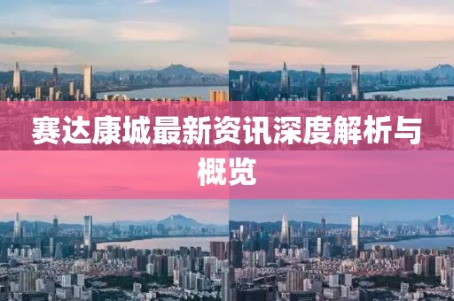 陌生的城市 第4页