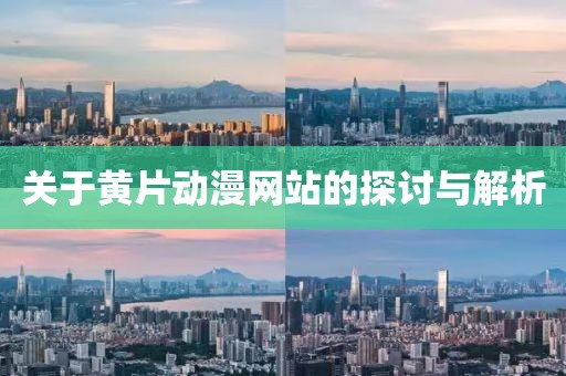 关于黄片动漫网站的探讨与解析
