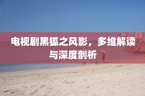 电视剧黑狐之风影，多维解读与深度剖析