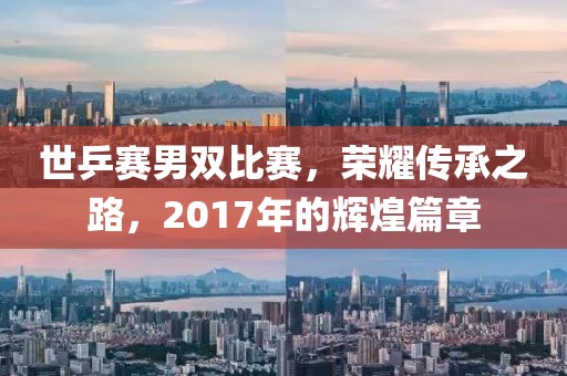 世乒赛男双比赛，荣耀传承之路，2017年的辉煌篇章