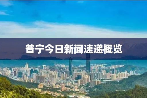 普宁今日新闻速递概览