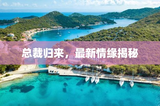 总裁归来，最新情缘揭秘