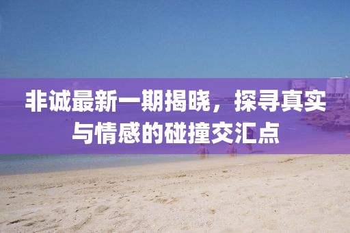 非诚最新一期揭晓，探寻真实与情感的碰撞交汇点