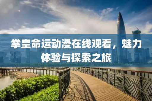 拳皇命运动漫在线观看，魅力体验与探索之旅