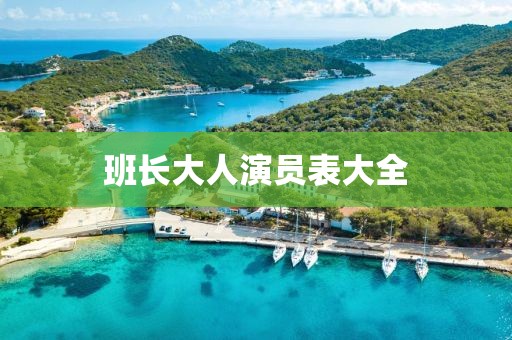班长大人演员表大全