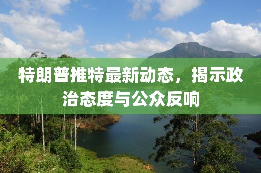 特朗普推特最新动态，揭示政治态度与公众反响