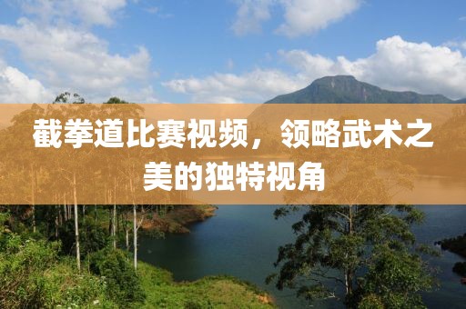 截拳道比赛视频，领略武术之美的独特视角