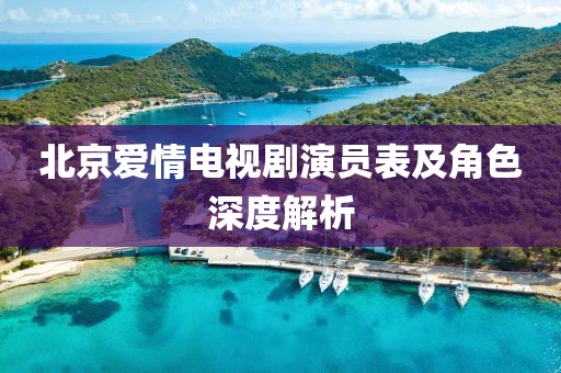 北京爱情电视剧演员表及角色深度解析