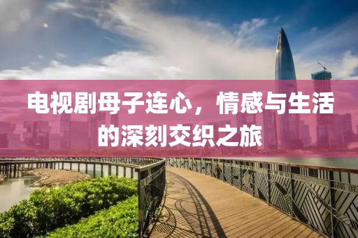 电视剧母子连心，情感与生活的深刻交织之旅