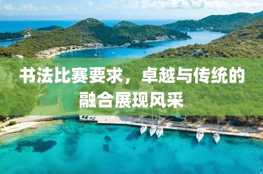 书法比赛要求，卓越与传统的融合展现风采