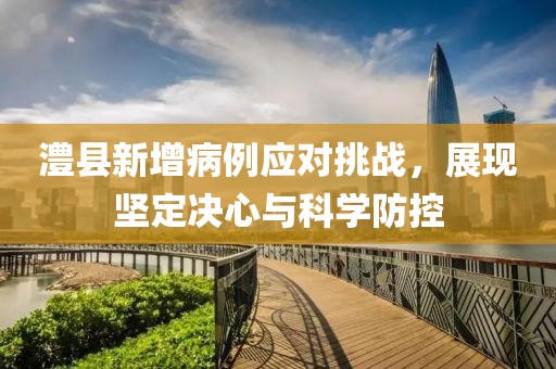 澧县新增病例应对挑战，展现坚定决心与科学防控