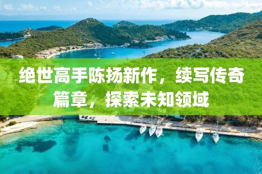 绝世高手陈扬新作，续写传奇篇章，探索未知领域