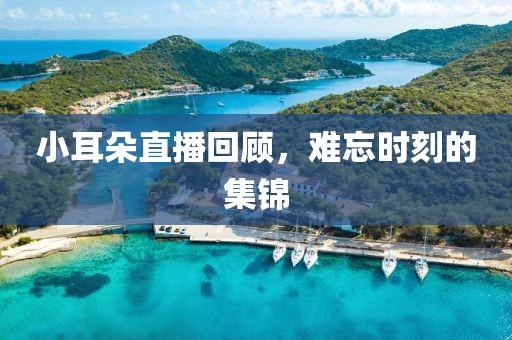小耳朵直播回顾，难忘时刻的集锦