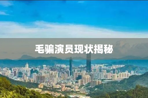 毛骗演员现状揭秘