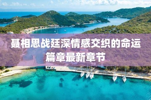 聂相思战廷深情感交织的命运篇章最新章节