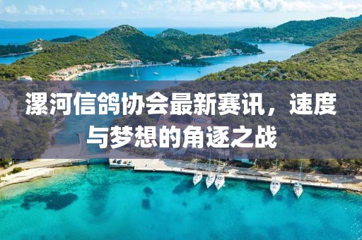 漯河信鸽协会最新赛讯，速度与梦想的角逐之战