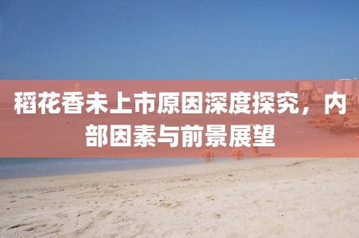 稻花香未上市原因深度探究，内部因素与前景展望