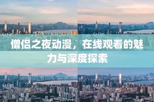 僧侣之夜动漫，在线观看的魅力与深度探索