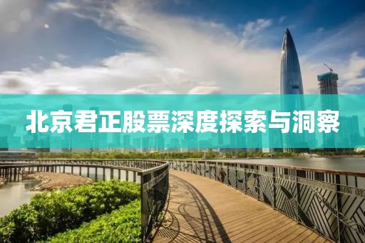 北京君正股票深度探索与洞察